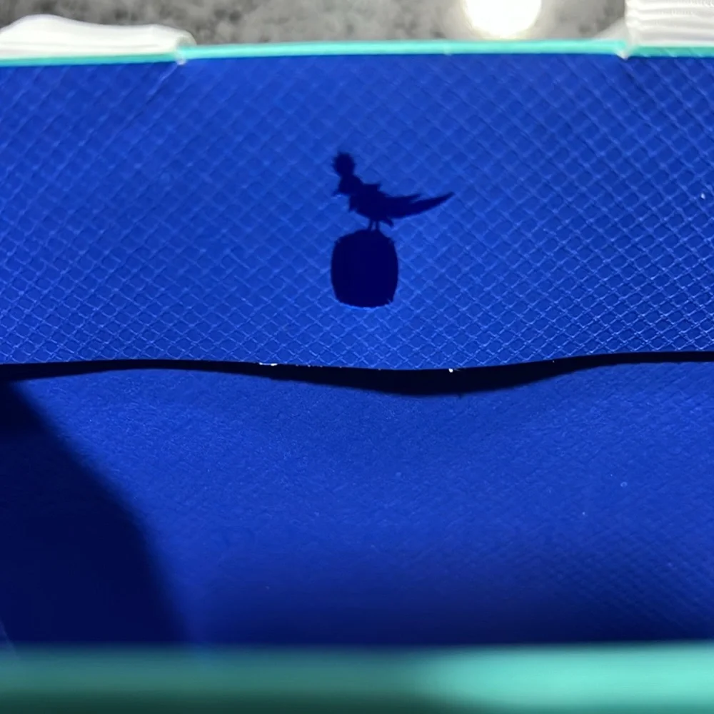 Tiffany & Co. Blue Gift Bag